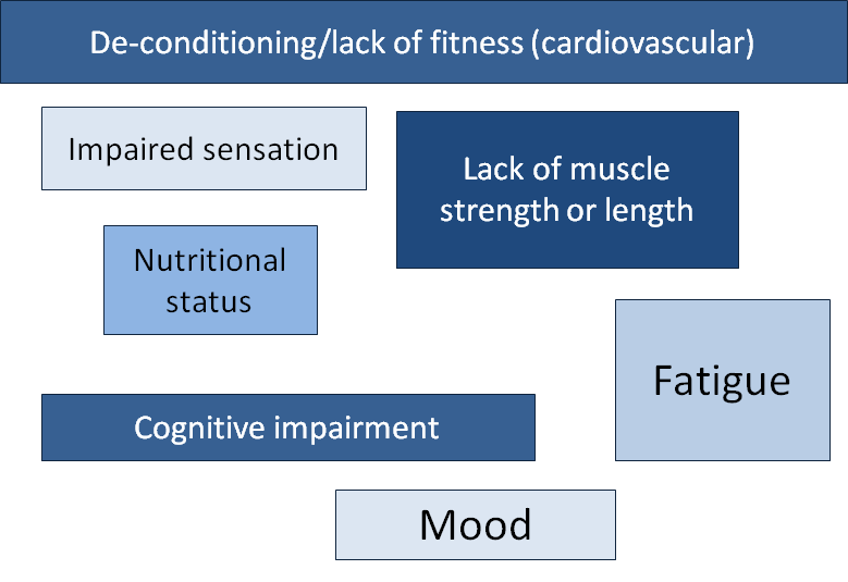 factors affecting motor control